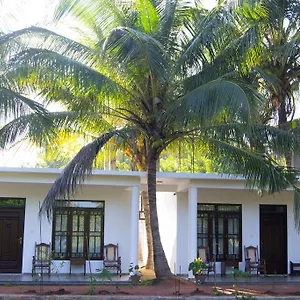 shady-mango-villa.kandyhotelsnow.com/